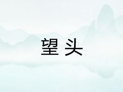 望头