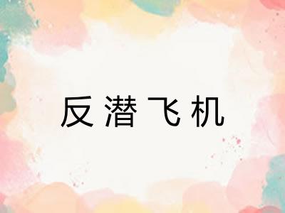 反潜飞机