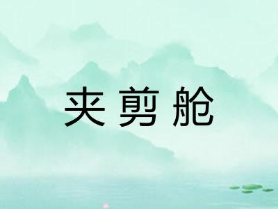 夹剪舱
