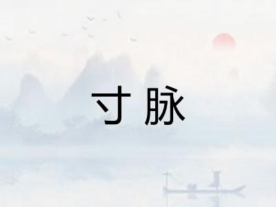 寸脉 寸脉