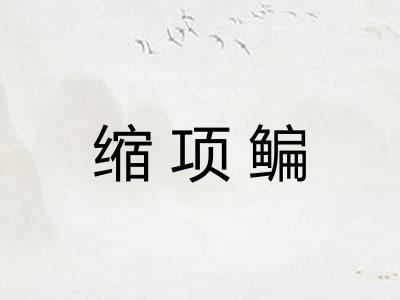 缩项鳊