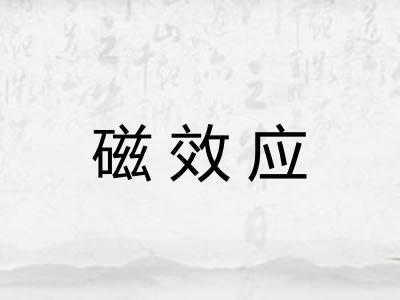 磁效应