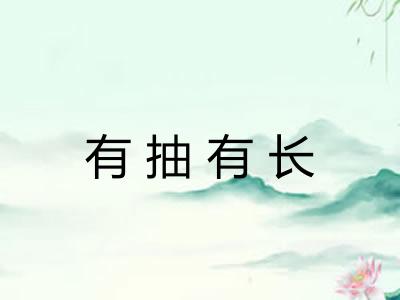 有抽有长