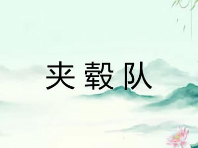 夹毂队