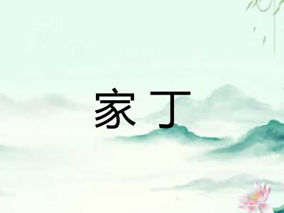 家丁 家丁