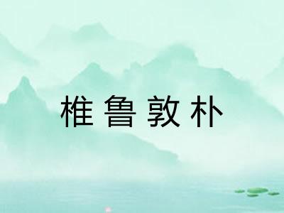 椎鲁敦朴