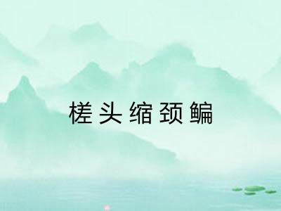 槎头缩颈鳊