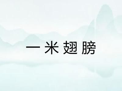 一米翅膀