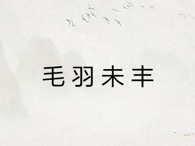 毛羽未丰