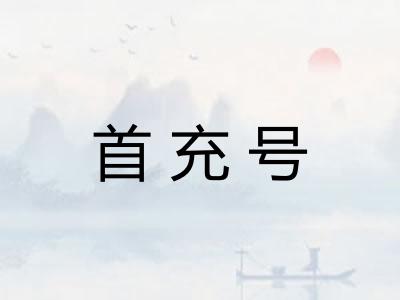 首充号