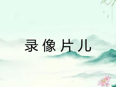 录像片儿