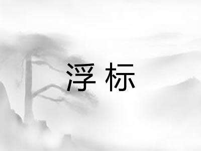 浮标