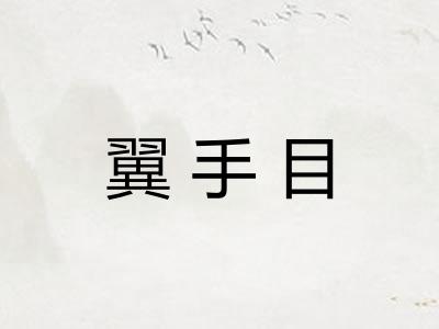 翼手目