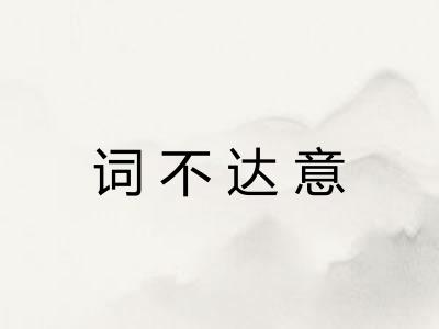 词不达意