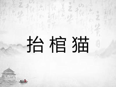 抬棺猫