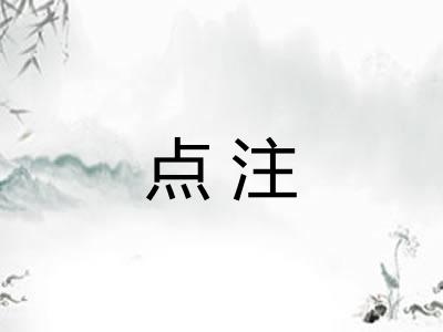 点注
