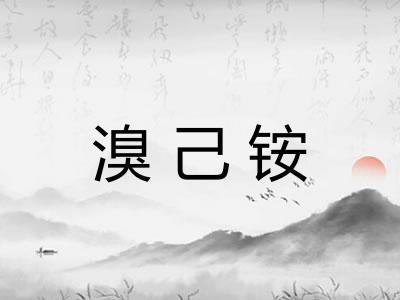 溴己铵
