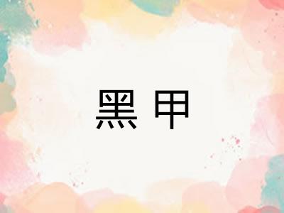 黑甲 黑甲