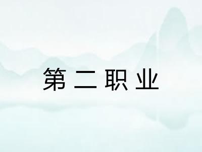 第二职业