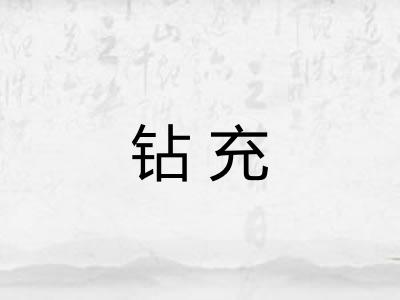 钻充