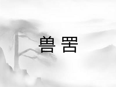 兽罟