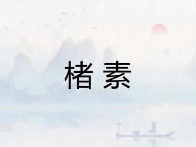 楮素 楮素