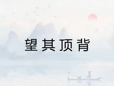 望其顶背