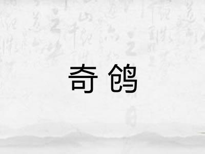 奇鸧 奇鸧