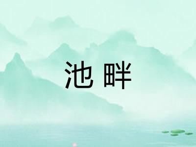 池畔