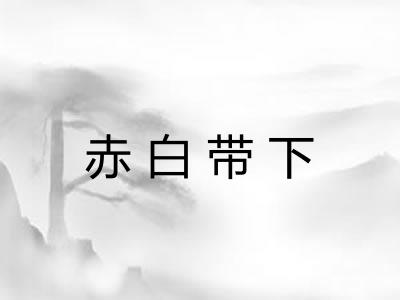赤白带下