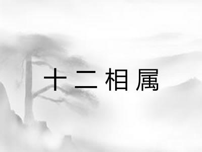 十二相属
