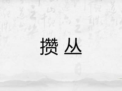 攒丛
