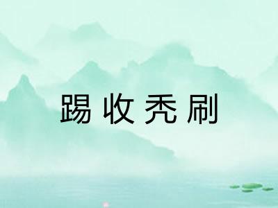 踢收秃刷