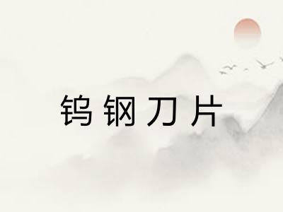 钨钢刀片