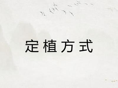 定植方式