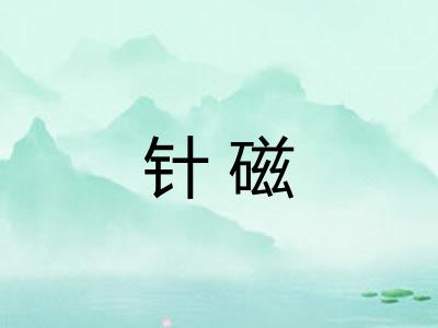 针磁