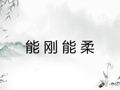 能刚能柔