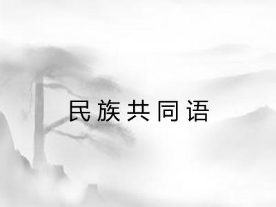 民族共同语 民族共同语