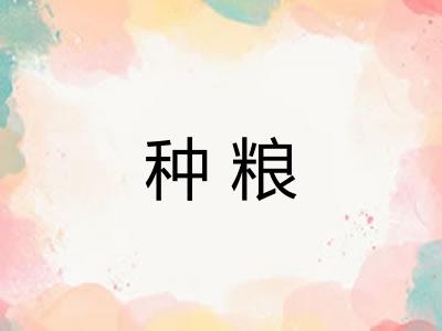 种粮