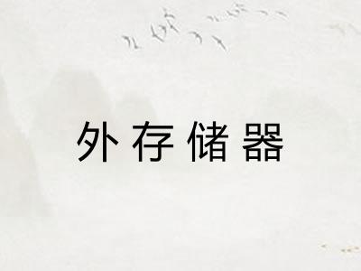 外存储器