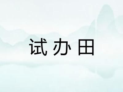 试办田
