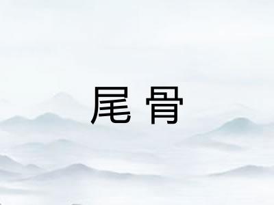 尾骨