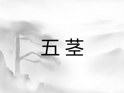 五茎