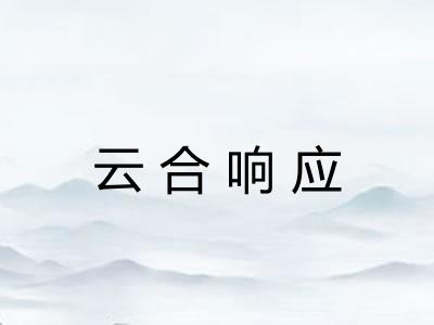 云合响应