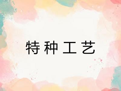 特种工艺