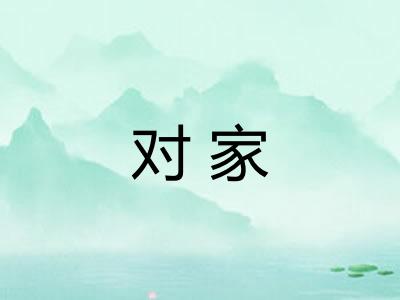 对家 对家