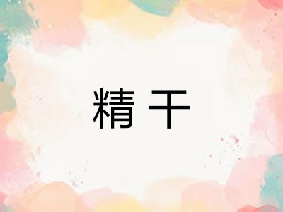 精干 精干