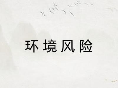 环境风险