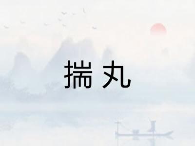 揣丸