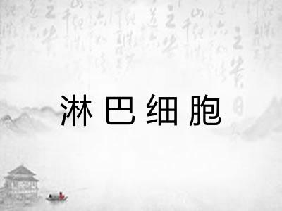 淋巴细胞